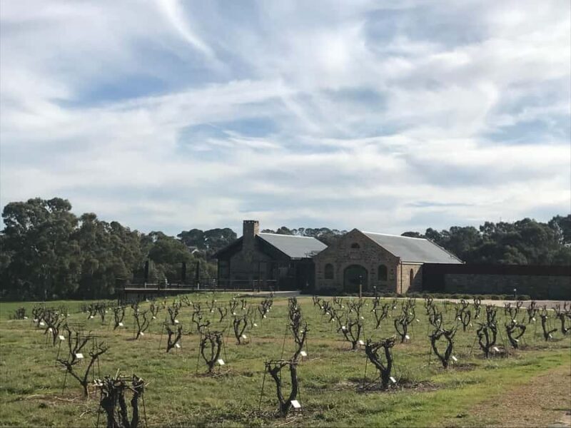 Barossa Valley: Small Group Wine Tour (Includes Lunch) - A detailed look at what makes this tour special