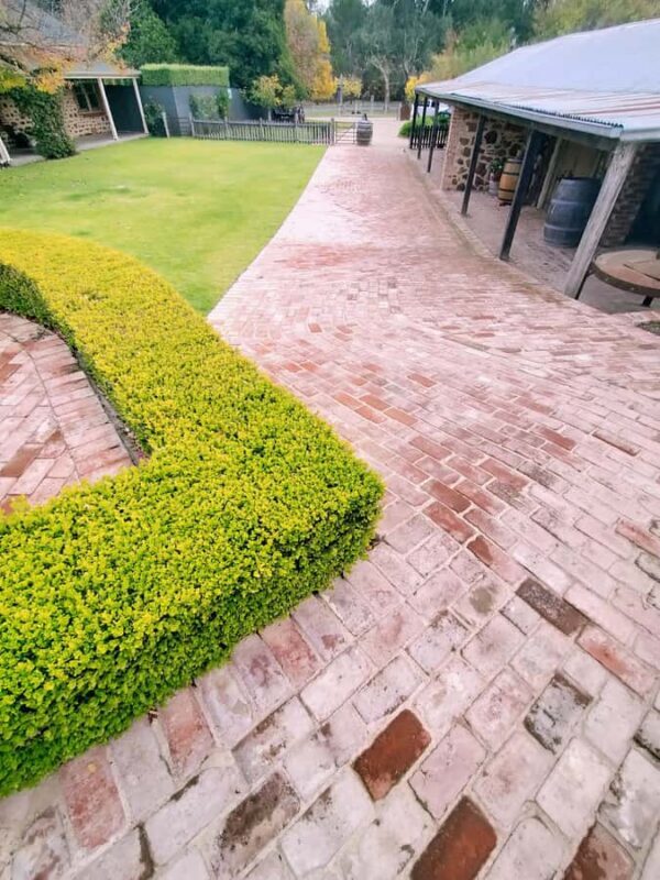 Barossa: Wine Tasting Tour including Lunch - The Experience Recounted by Others