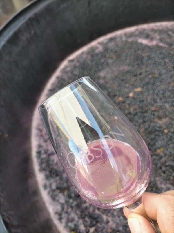 Barossa: Wine Tasting Tour including Lunch - Practical Tips for Travelers