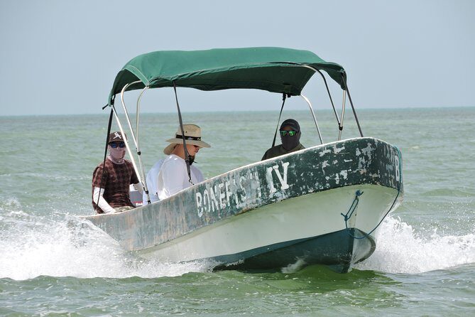 Barracuda Fishing Day Cancun - The Value of the Price