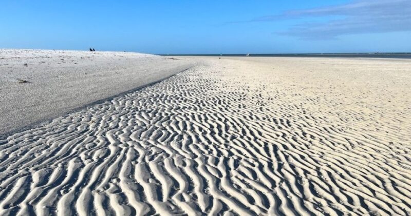 Barrier Island Shelling Tour - Final Thoughts: Who Is This Tour For?