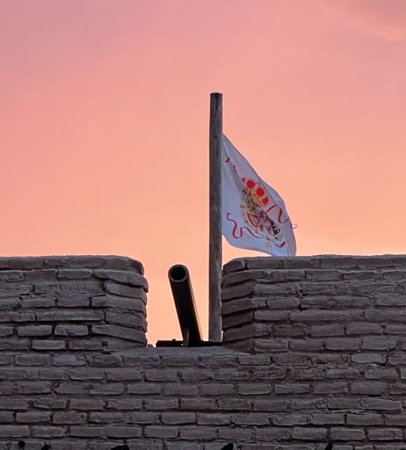 Barrio Viejo Tucson Walking Tour & Scott Avenue with Guide - Introduction