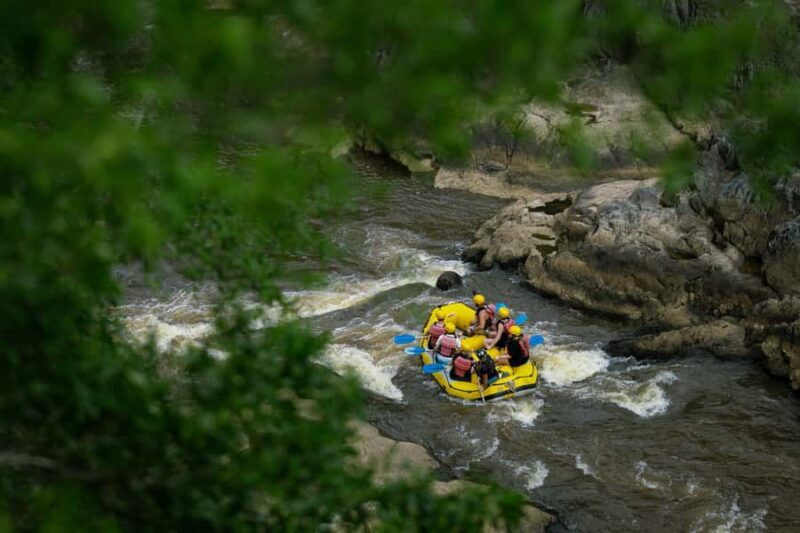 Barron Gorge: Half-Day Barron River White-Water Rafting - A Closer Look at the Experience