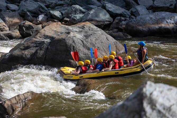 Barron River Half-Day White Water Rafting Cairns or Port Douglas - Authentic Experiences and Guest Feedback
