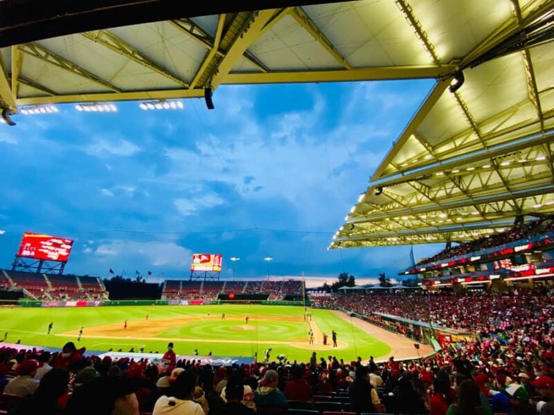 Baseball Game Day Experience in Mexico City - Diablos Rojos - Key Points