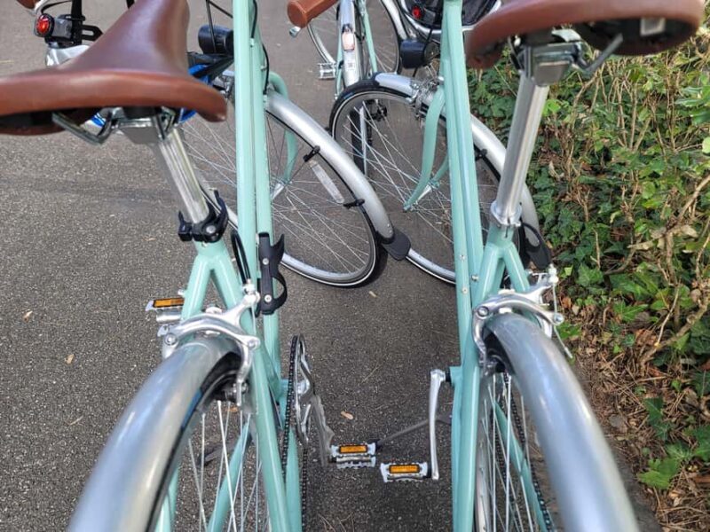 Basel: 3-Country Guided Bike Tour - The Original - Value for Money and Overall Experience