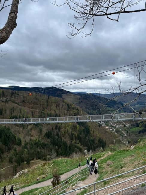 Basel: Black Forest, Waterfall &Mountain, Lakes Private Tour - Why This Tour Offers Great Value