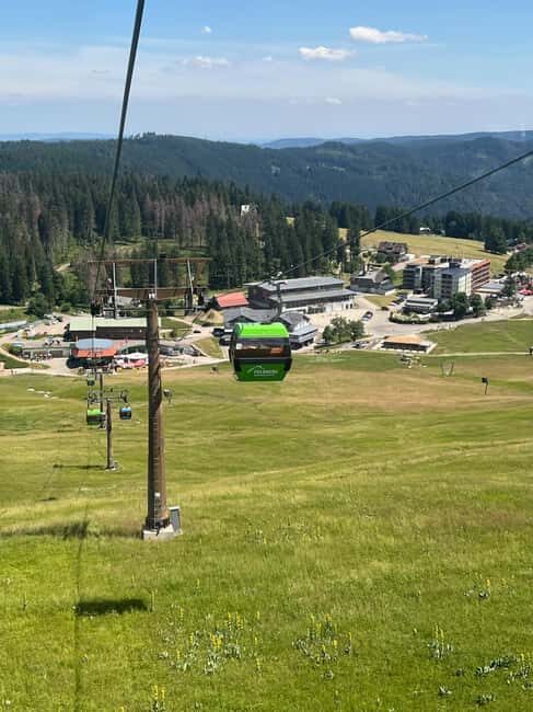 Basel: Black Forest, Waterfall &Mountain, Lakes Private Tour - Who Is This Tour Best Suited For?