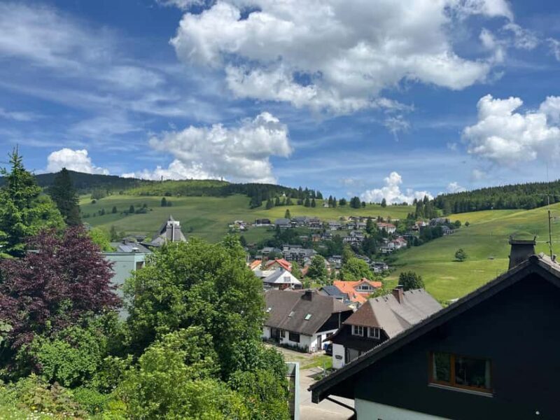 Basel: Black Forest, Waterfall &Mountain, Lakes Private Tour - FAQ