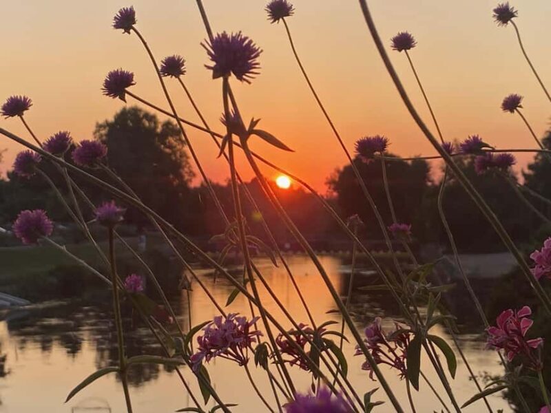 Basel: Fancy a bike tour through 3 countries in 60 minutes? - The Route and What to Expect