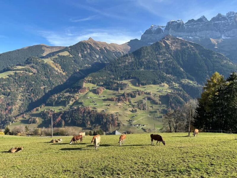 Basel: Local Cheese Tasting Tour with a Cheese Sommelier - An In-Depth Look at the Tour Experience