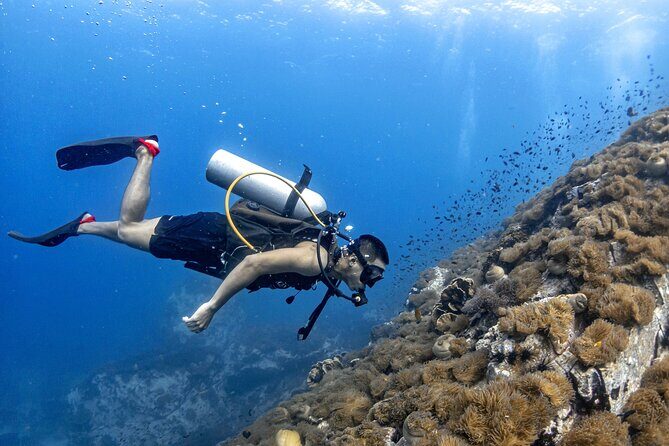 Basic Diver ( One Day Experience) - Key Points