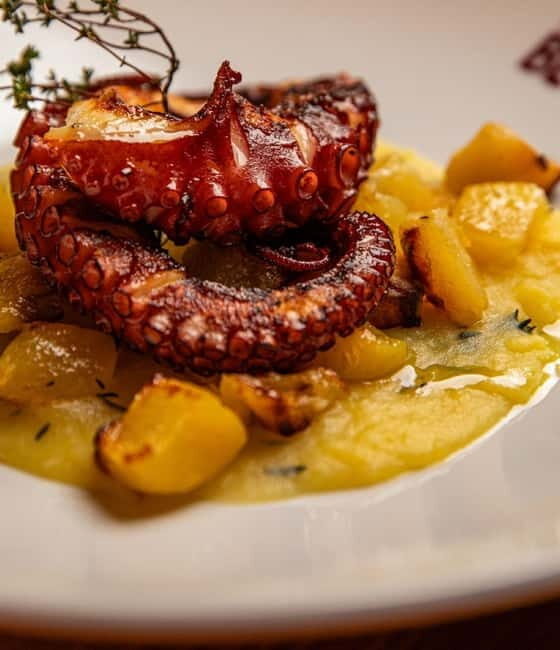 Basic fish tasting menu at the Signora Bettola restaurant - FAQs