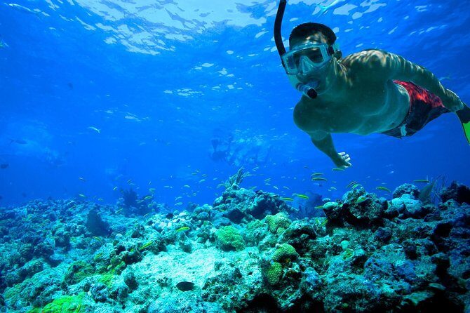 Basic Snorkel Experience In Cancun - An In-Depth Look at the Experience
