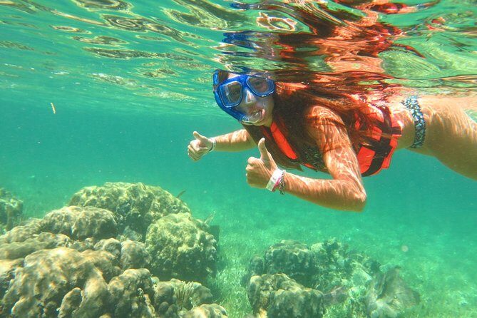 Basic Snorkel Experience In Cancun - Practical Tips for Participants
