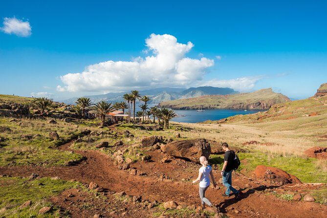 Basic Tour 1 - Shuttle (Quinta do Lorde to Cais do Sardinha) (one way) - Authentic Insights and Practical Tips from Reviews