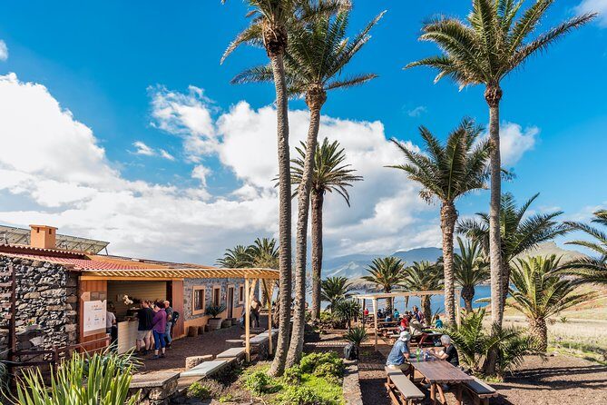 Basic Tour 2 - Quinta do Lorde to Cais do Sardinha and return - Wildlife and whale watching