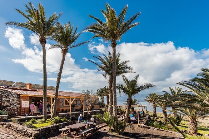 Basic Tour 2 - Quinta do Lorde to Cais do Sardinha and return - The value for money