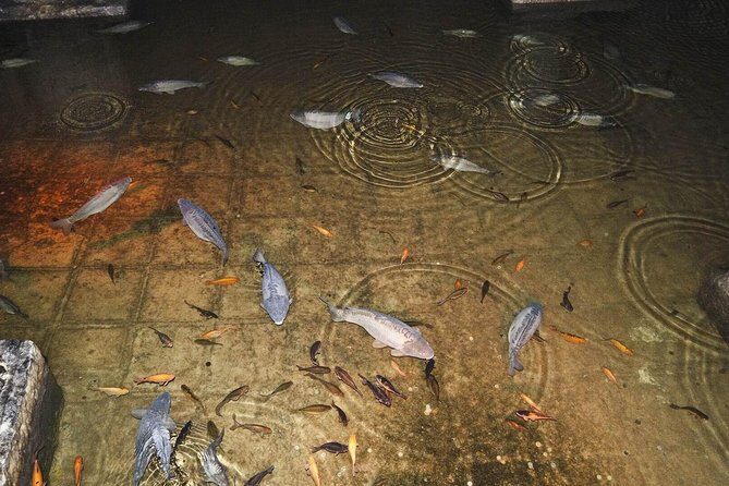 Basilica Cistern Skip the Line Ticket - FAQs