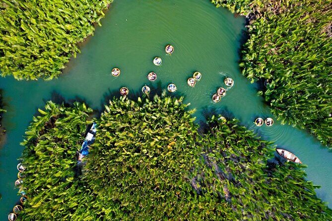 Basket Boat Ride, Coconut Forest, Sunset and Hoi An Town by Night - Who Is This Tour Best Suited For?