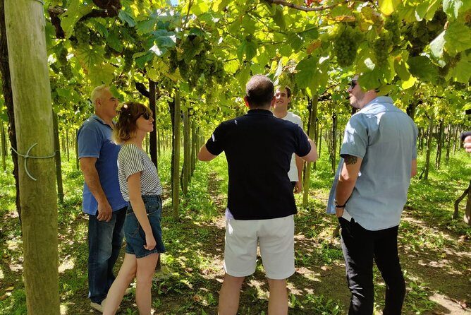 BASQUE CHEESE and TXAKOLI WINE - Private Gastronomic Adventure - Is This Tour Worth It? Our Take on the Value