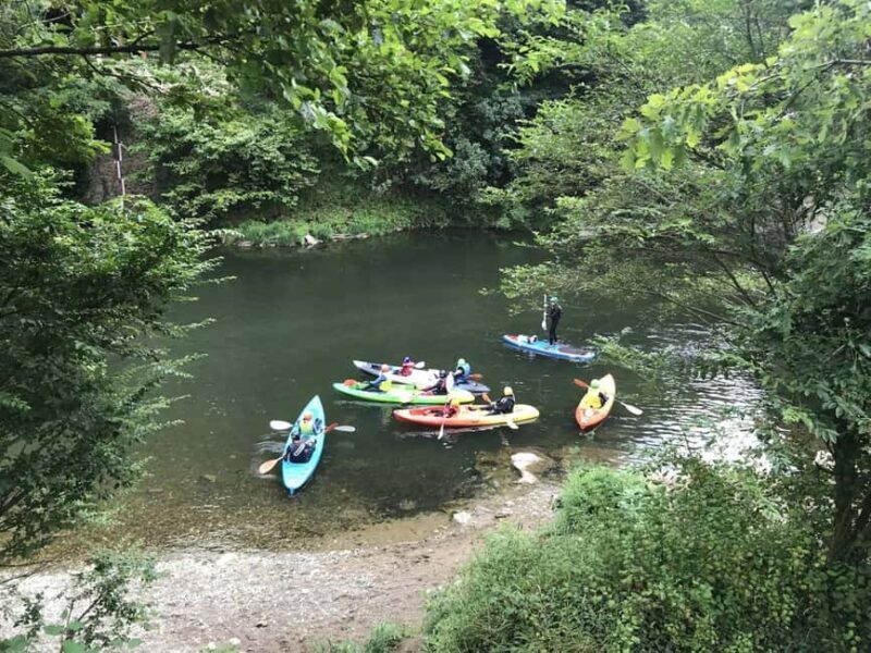 Basque Country: Kayaking down the Bidassoa River - Key Points