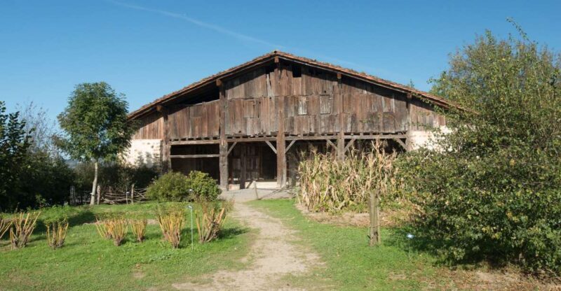 Basque Press Farm and Traditional Cider House with transport - Key Points