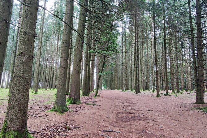 Bastogne & the Battle of the Bulge - 1 Day Tour from Brussels - Frequently Asked Questions