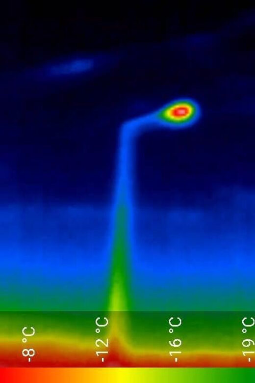 Bat Watching Madeira - Key Points