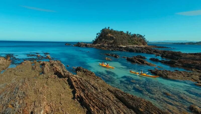 Batemans Bay: Half-Day Sea Kayak Tour - Key Points