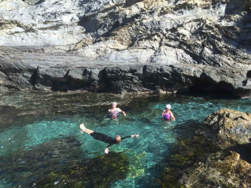 Batemans Bay: Half-Day Sea Kayak Tour - An Overview of the Sea Kayaking Experience