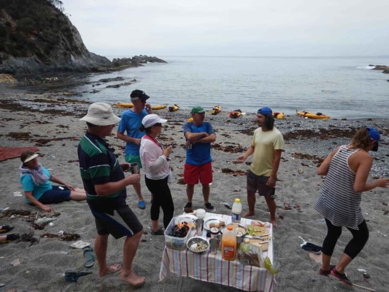 Batemans Bay: Half-Day Sea Kayak Tour - Practical Tips for Participants