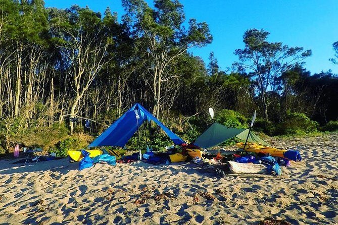 Batemans Bay Overnight Kayak Camping Tour from Canberra - All Inclusive - Who Is This Tour Best For?