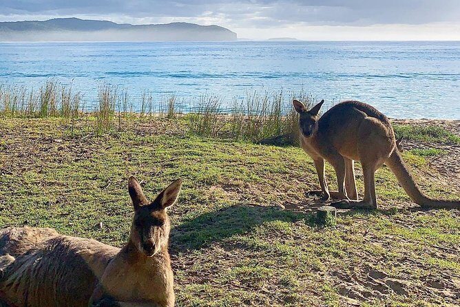 Batemans Bay Overnight Kayak Camping Tour from Canberra - All Inclusive - Final Thoughts