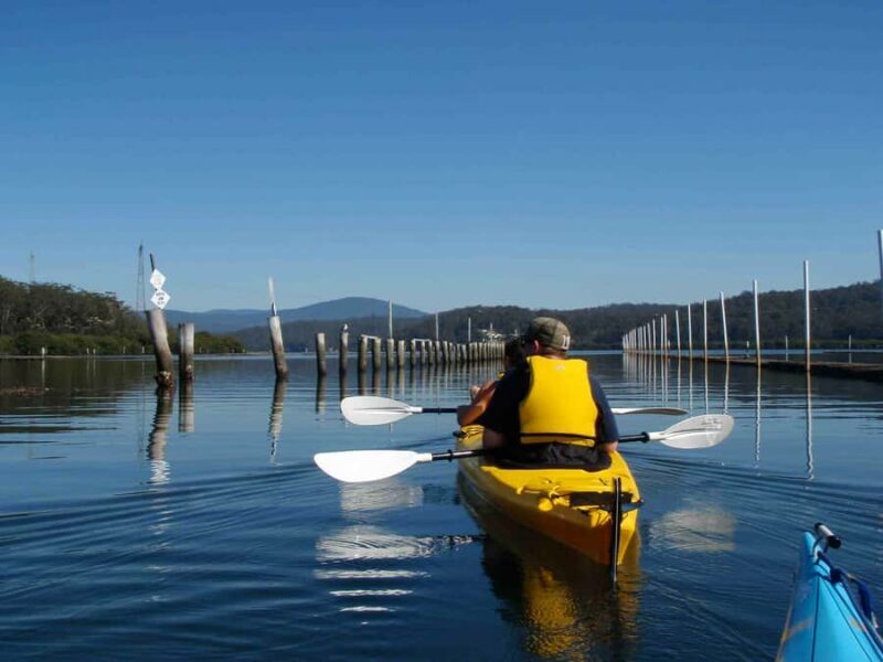 Batemans Bay: Oyster Tasting Kayak Tour - An In-Depth Look at the Oyster Tasting Kayak Tour