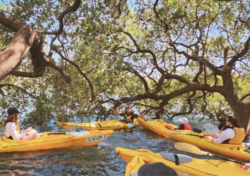 Batemans Bay: Oyster Tasting Kayak Tour - FAQ