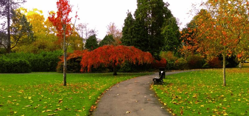 Bath : 2 Hour Historic Walking Tour With An App - Who This Tour Is Best For