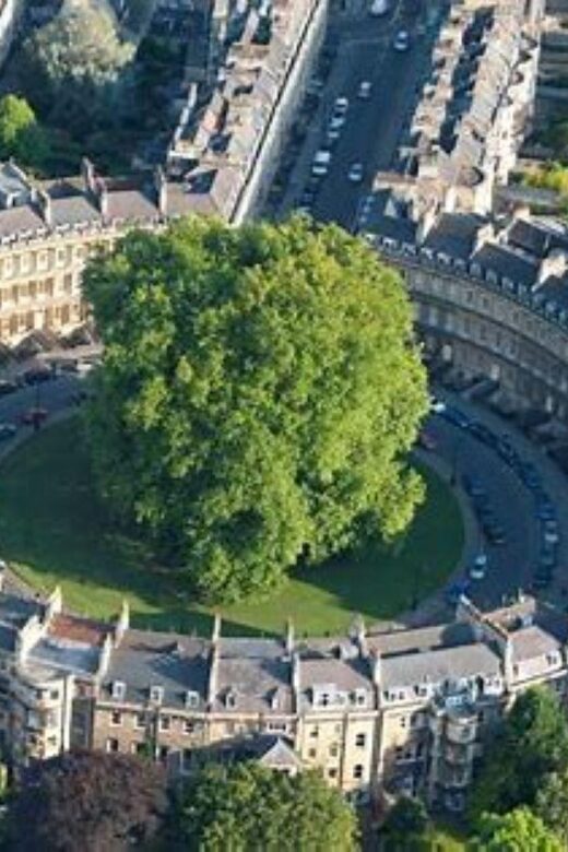 Bath: Guided walking tour of Historic Sights & Pubs (3h) - Who Will Love This Tour?