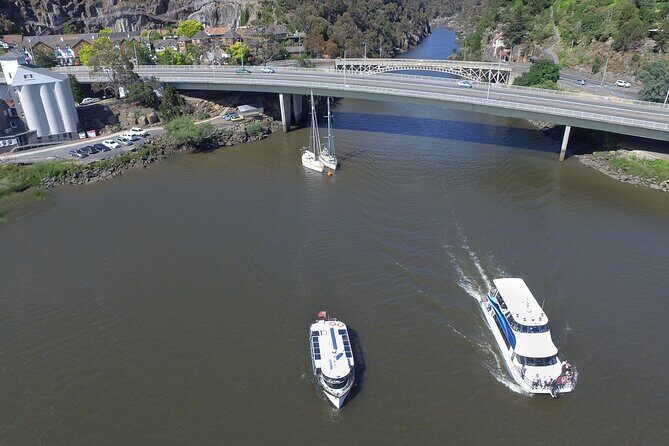 Batman Bridge 4 Hour Luncheon Cruise including sailing into the Cataract Gorge - Who Should Consider This Cruise?
