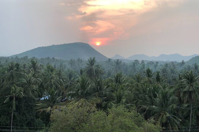 Battambang Private afternoon tour bamboo train bat cave & village - Who Should Book This Tour?