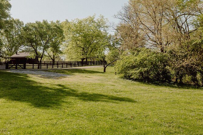 Battle at Belle Meade Civil War Tour & Complimentary Wine Tasting - Final Thoughts