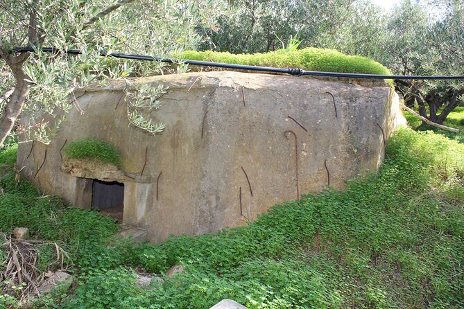 Battle of Crete Full Day Private Tour in Chania - Frequently Asked Questions