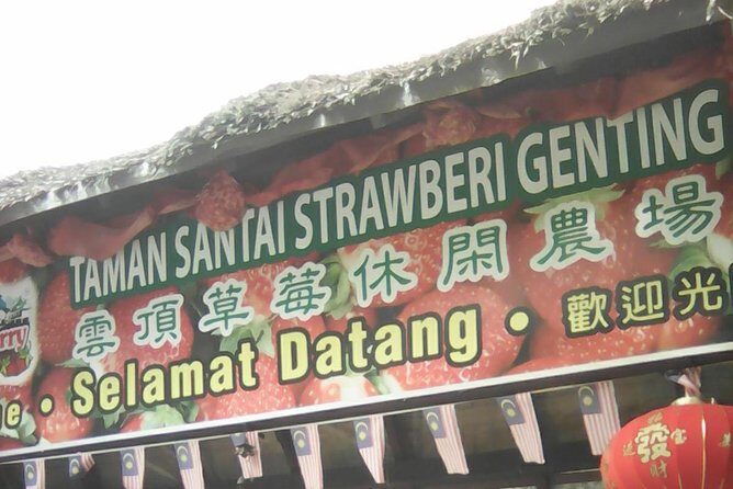 Batu Caves and Genting Highland Tour - Who Should Consider This Tour?