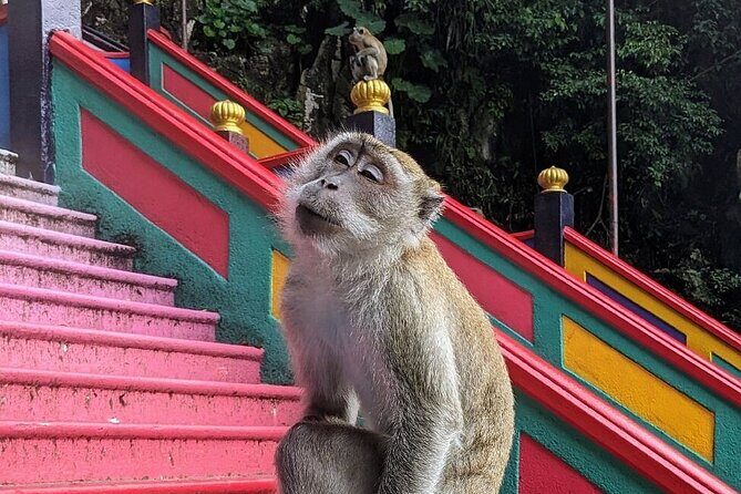 Batu Caves, Waterfalls and Hot Springs Tour With Lunch - Final Thoughts: Who Will Love This Tour?