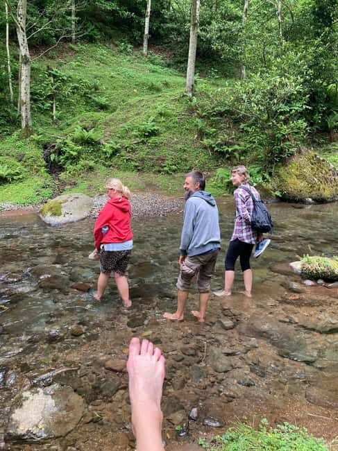 Batumi: Sweet Excursion and Mtirala Forest - Introduction