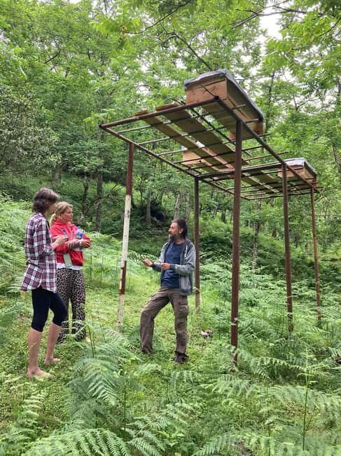 Batumi: Sweet Excursion and Mtirala Forest - Key Points