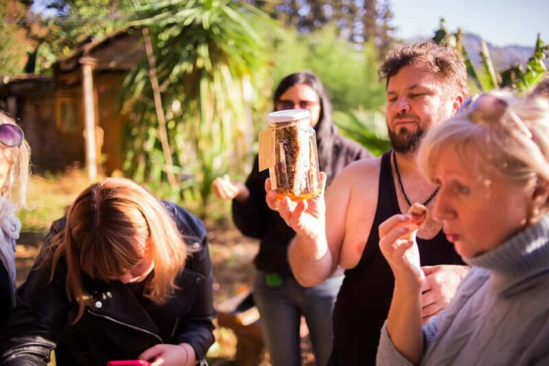 Batumi: Sweet Excursion and Mtirala Forest - The Itinerary Breakdown