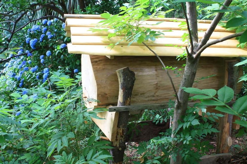 Batumi: Sweet Excursion and Mtirala Forest - Authentic Insights from Reviewers