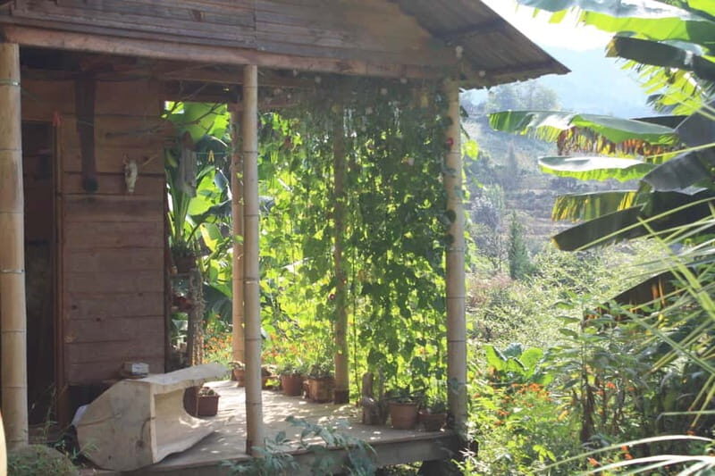 Batumi: Sweet Excursion and Mtirala Forest - Who Would Love This Tour?