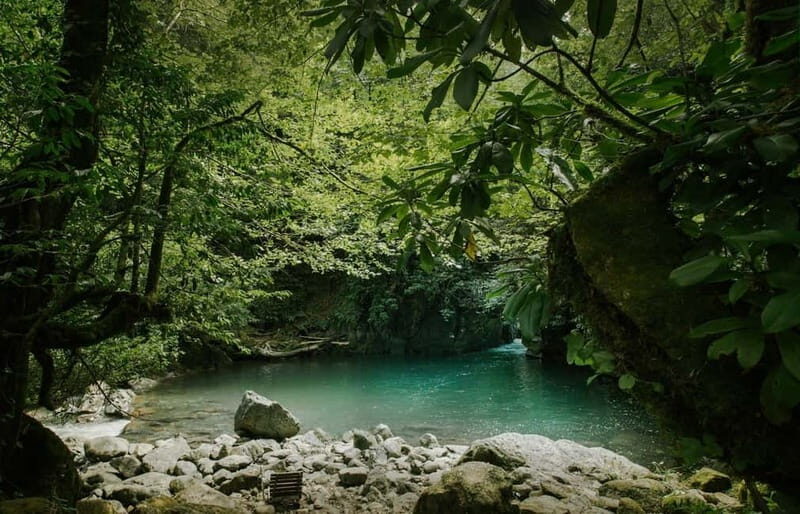 Batumi to Mtirala National park - Half day hiking group tour - Key Points